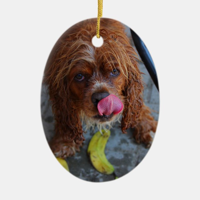 Adorno De Cerámica Perro húmedo con banana (Frente)