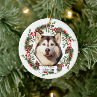 Adorno De Cerámica Perro Husky Siberiano
