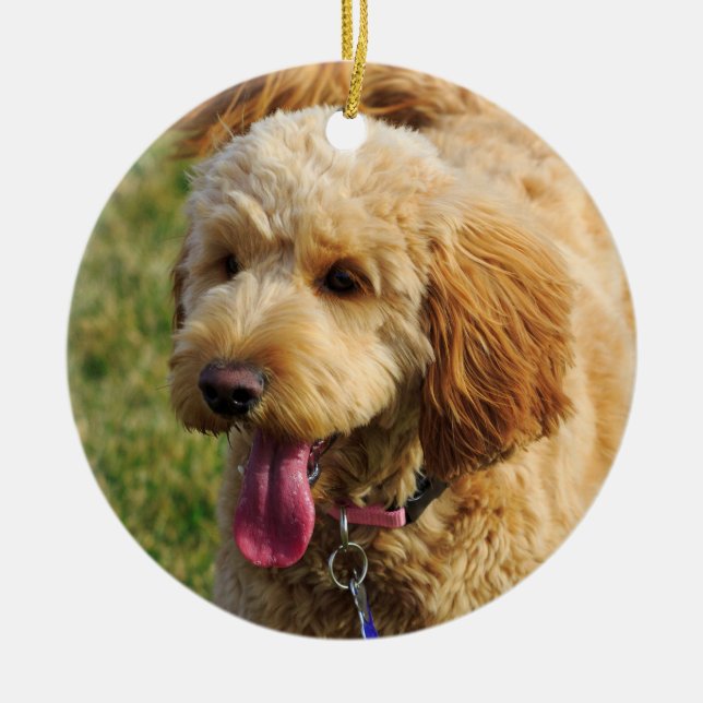 Adorno De Cerámica Perro lindo de Goldendoodle (Frente)