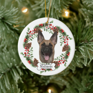 Adorno De Cerámica Perro malinés belga