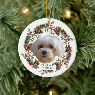 Adorno De Cerámica perro maltés
