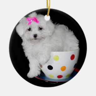 Adorno De Cerámica Perro maltés adorable