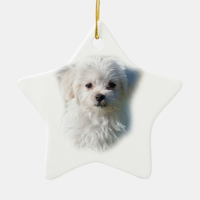 Adorno De Cerámica Perro maltés lindo (Frente)