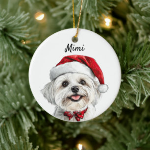 Adorno De Cerámica Perro Maltés Personalizado