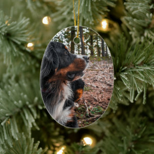 Adorno De Cerámica perro montañés bernés en el bosque