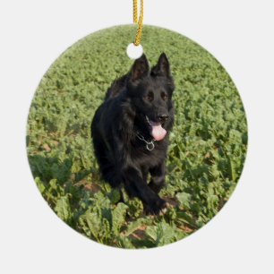 Adorno De Cerámica Perro negro