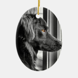 Adorno De Cerámica Perro negro