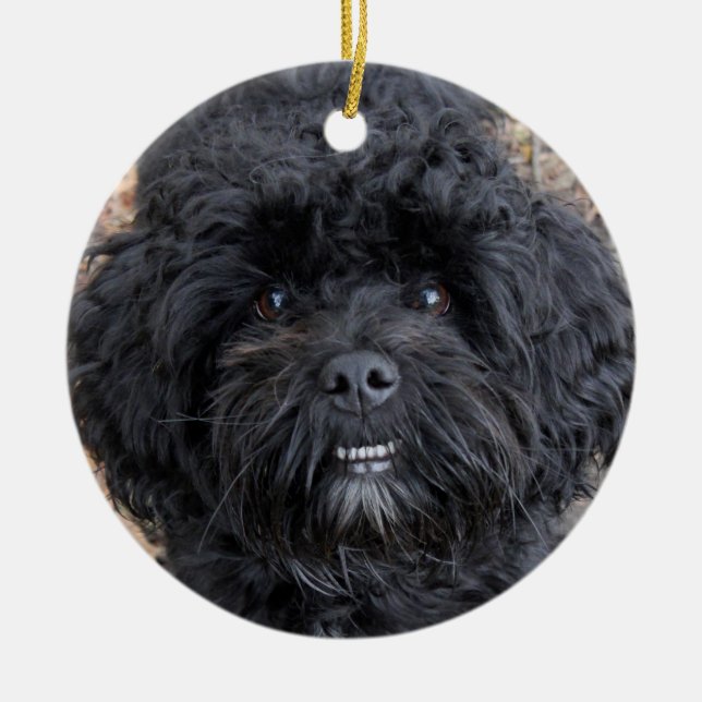 Adorno De Cerámica Perro negro, (Frente)