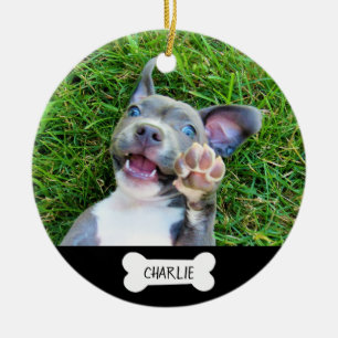 Adorno De Cerámica Perro o gato Mascota conmemorativo