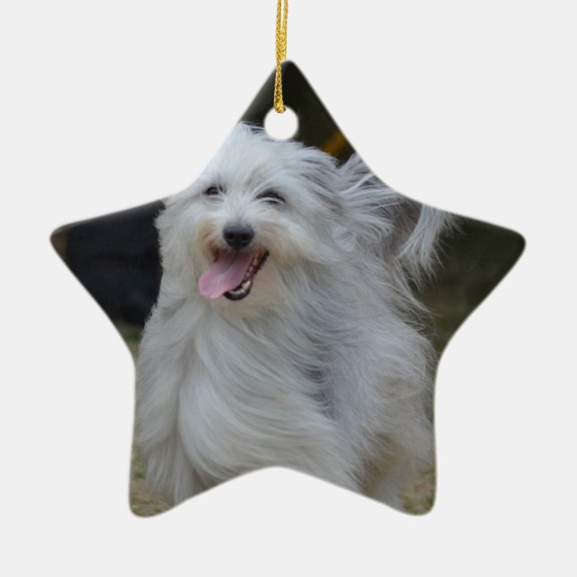 Adorno De Cerámica Perro pastor dulce (Frente)