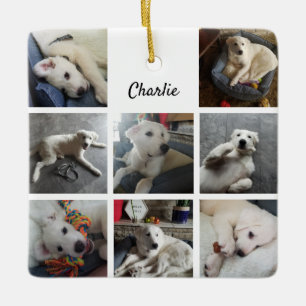 Adorno De Cerámica Perro picante de Collage de fotos