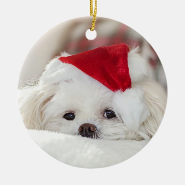 Adorno De Cerámica Perro picante maltés blanco Navidades (Frente)
