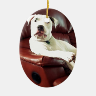 Adorno De Cerámica perro pit bull blanco divertido en el sofá
