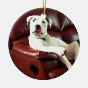 Adorno De Cerámica perro pit bull blanco divertido en el sofá