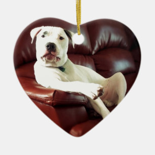 Adorno De Cerámica perro pit bull blanco divertido en el sofá