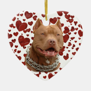 Adorno De Cerámica Perro Pitbull