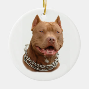 Adorno De Cerámica Perro Pitbull
