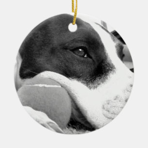 Adorno De Cerámica perro pitbull negro y blanco con pelota de aspecto
