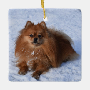 Adorno De Cerámica Perro porcino buenoso en la nieve