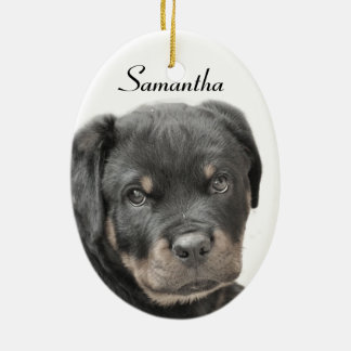 Adorno De Cerámica Perro Rottweiler