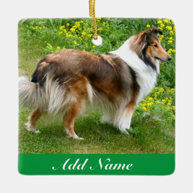 Adorno De Cerámica Perro shetland personalizado - Perro Sheltie (Anverso)