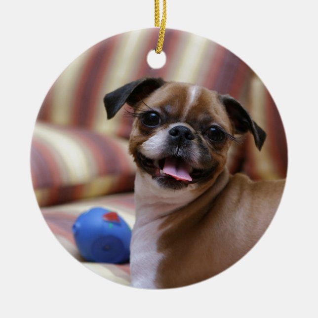 Adorno De Cerámica Perro supercutto con su bola favorita (Frente)