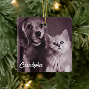 Adorno De Cerámica Perro y gato, buscando personalizado