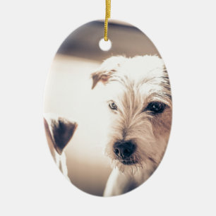 Adorno De Cerámica perros