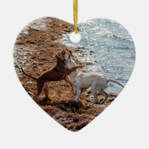 Adorno De Cerámica Perros en la playa