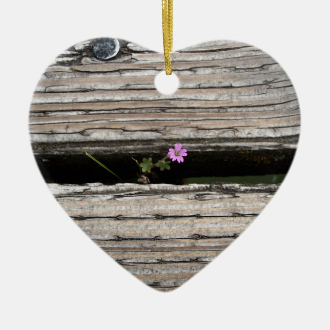 Adorno De Cerámica Perseverence (Frente)