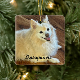 Adorno De Cerámica Personaliza la foto y el nombre de tu mascota herm
