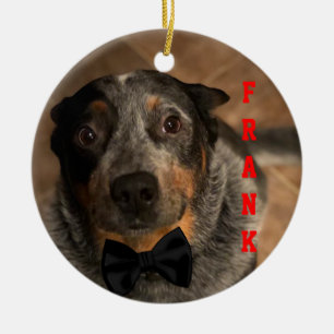 Adorno De Cerámica Personalizado Bandit