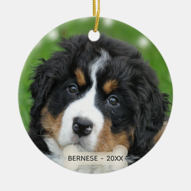Adorno De Cerámica Personalizado Bernese Mountain Dog Photo (Frente)