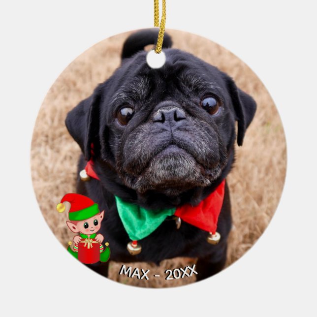 Adorno De Cerámica Personalizado Black Pug Dog Photo with Cute Elf (Frente)
