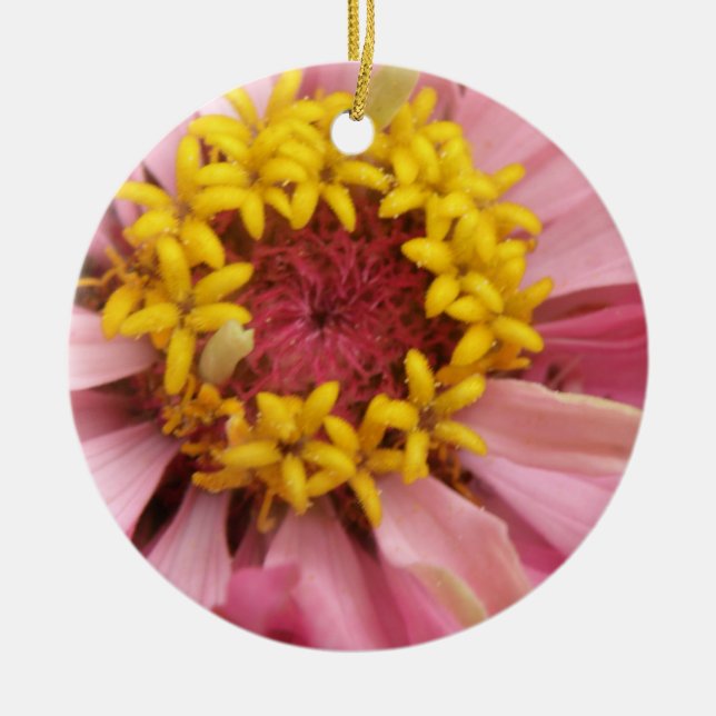 Adorno De Cerámica Personalizado bonito Rosa Zinnia Cumpleaños (Frente)