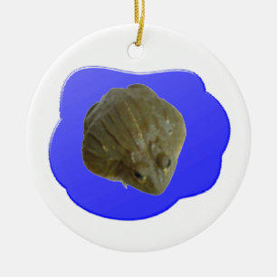 Adorno De Cerámica Personalizado Bullfrog Cumpleaños