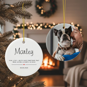 Adorno De Cerámica Personalizado con la foto y nombre de tu mascota