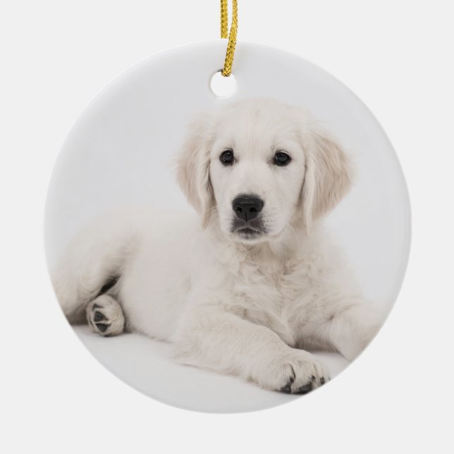 Adorno De Cerámica personalizado con memoria de mascota fotográfico (Frente)