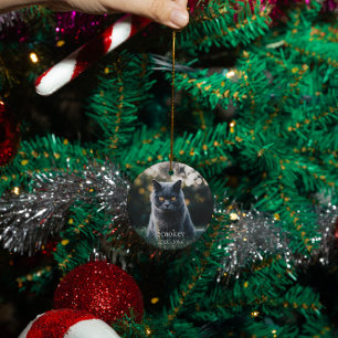 Adorno De Cerámica Personalizado conmemorativo del gato mascota perso