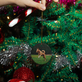 Adorno De Cerámica Personalizado conmemorativo del gato mascota perso