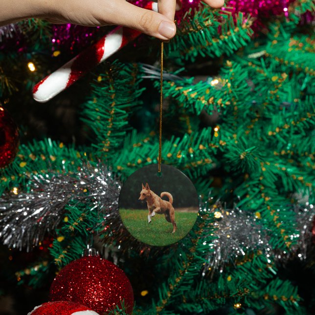 Adorno De Cerámica Personalizado conmemorativo del gato mascota perso (Subido por el creador)