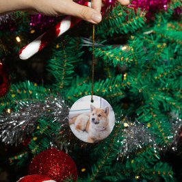 Adorno De Cerámica Personalizado conmemorativo del gato mascota perso