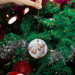 Adorno De Cerámica Personalizado conmemorativo del gato mascota perso
