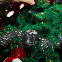 Personalizado conmemorativo del gato mascota perso