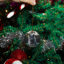 Adorno De Cerámica Personalizado conmemorativo del gato mascota perso