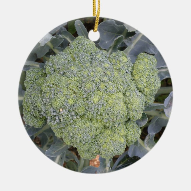 Adorno De Cerámica Personalizado de Broccoli Cumpleaños (Frente)
