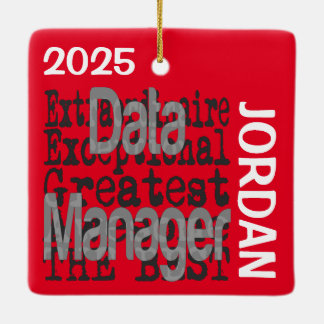 Adorno De Cerámica Personalizado de Data Manager Extraordinaire