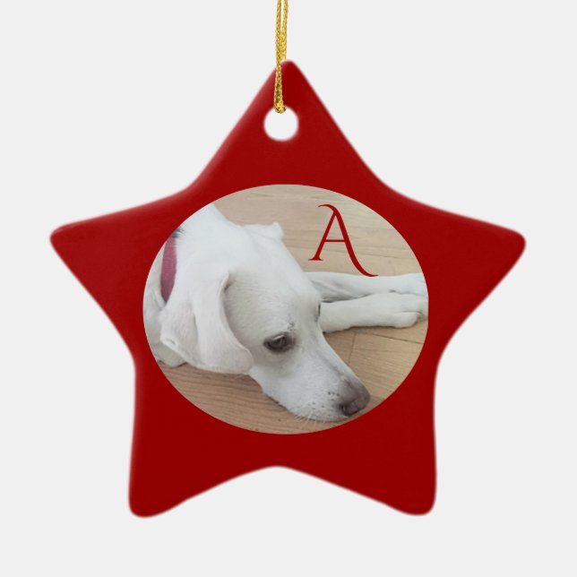 Adorno De Cerámica Personalizado de perro lindo estrella de Navidades (Frente)