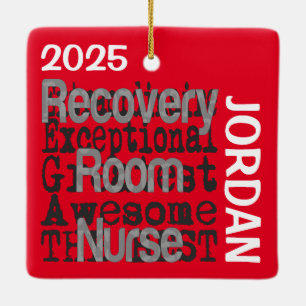 Adorno De Cerámica Personalizado Extraordinaria de enfermería de sala