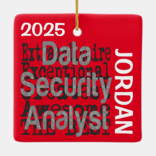 Adorno De Cerámica Personalizado Extraordinario de Data Security Anal